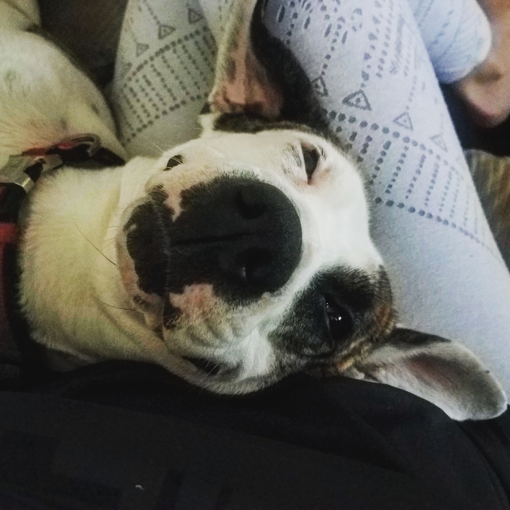 Meet your Posher, Carrie